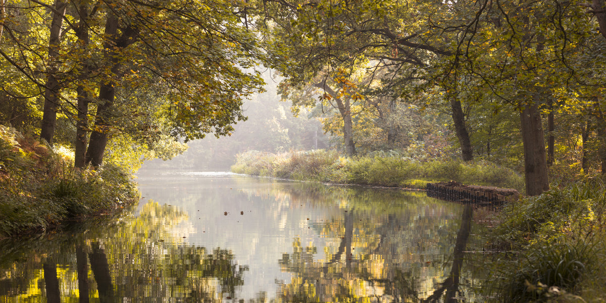 Autumnal Waters Wall Mural in your room