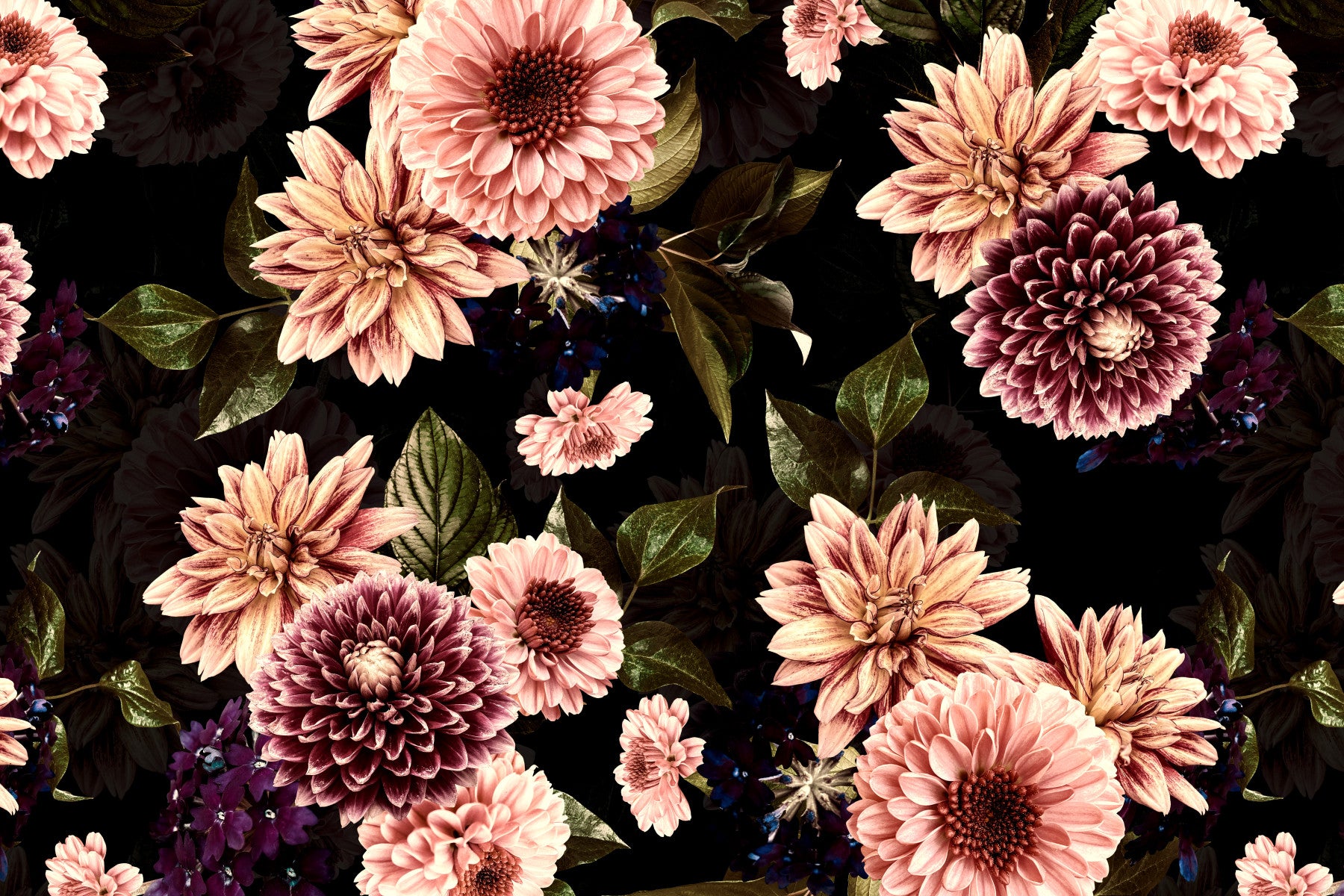 Vintage Flowering Dahlia Night Garden Wall Mural