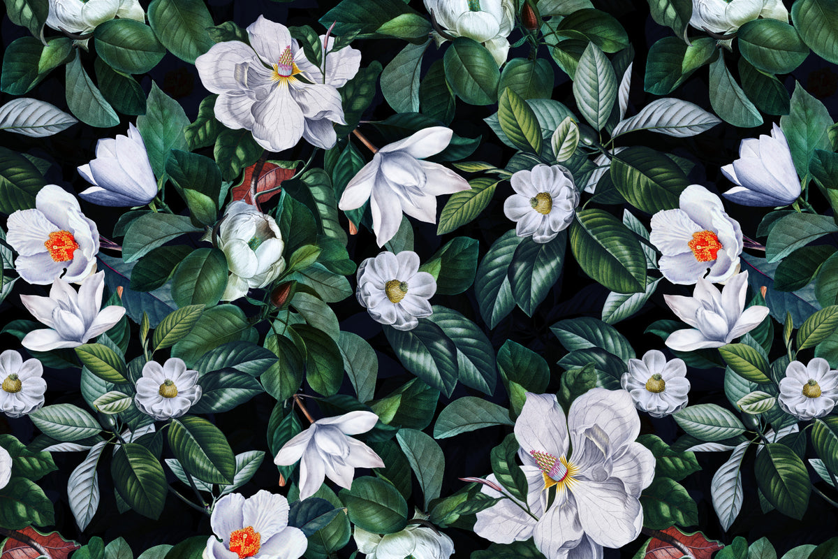Papier peint mural jardin de fleurs Magnolia de minuit vintage in your room — zoomed