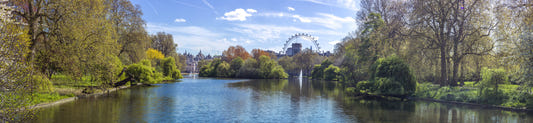Fresque murale St James Park