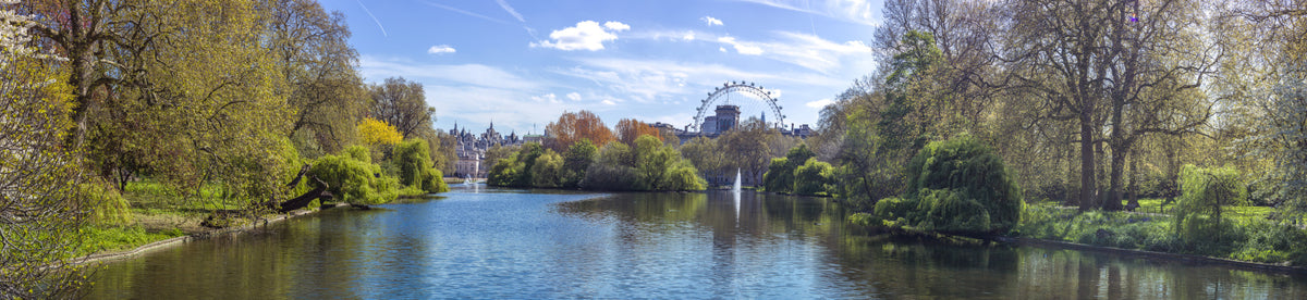 Fresque murale St James Park in your room — zoomed