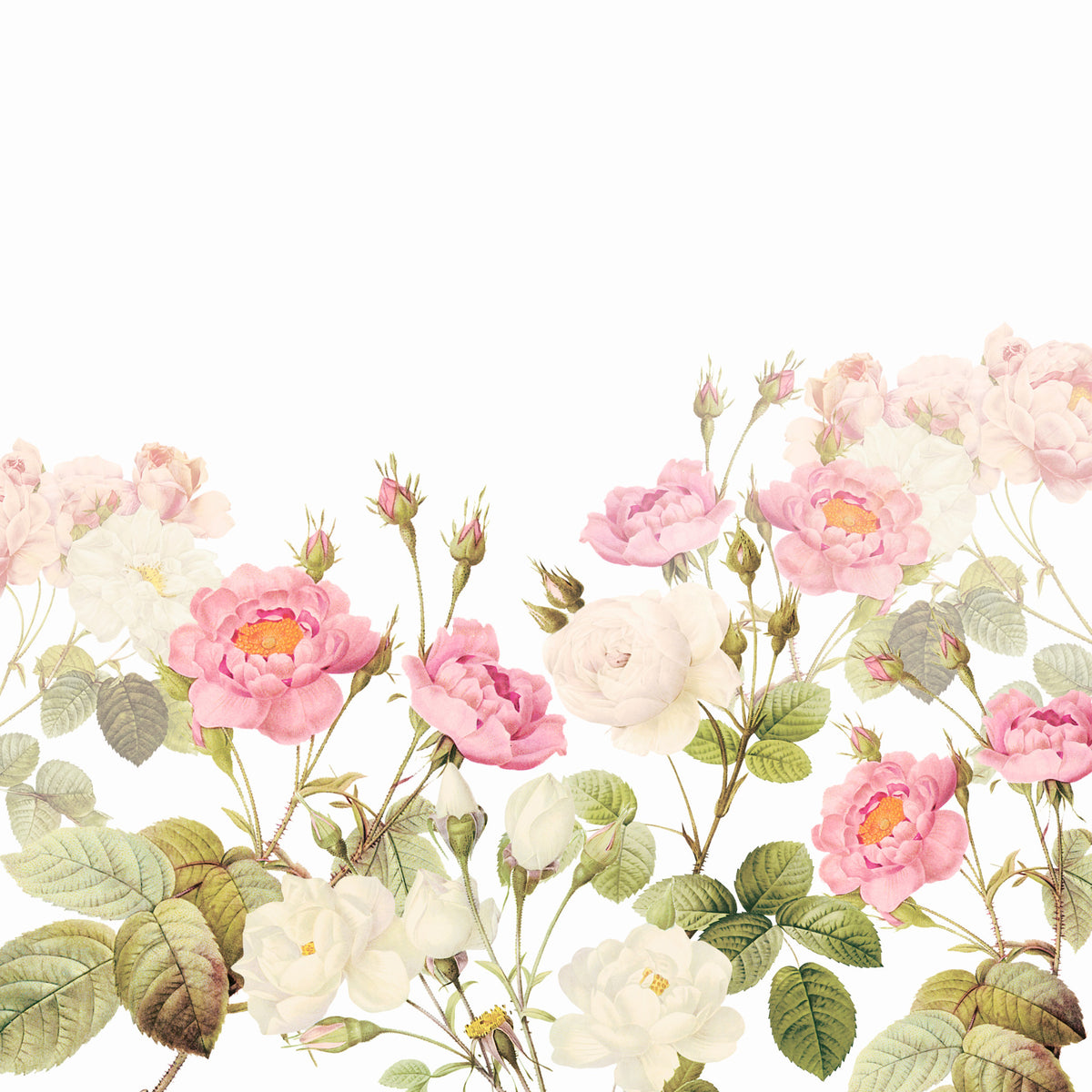 Fresque murale jardin de roses vintage blush