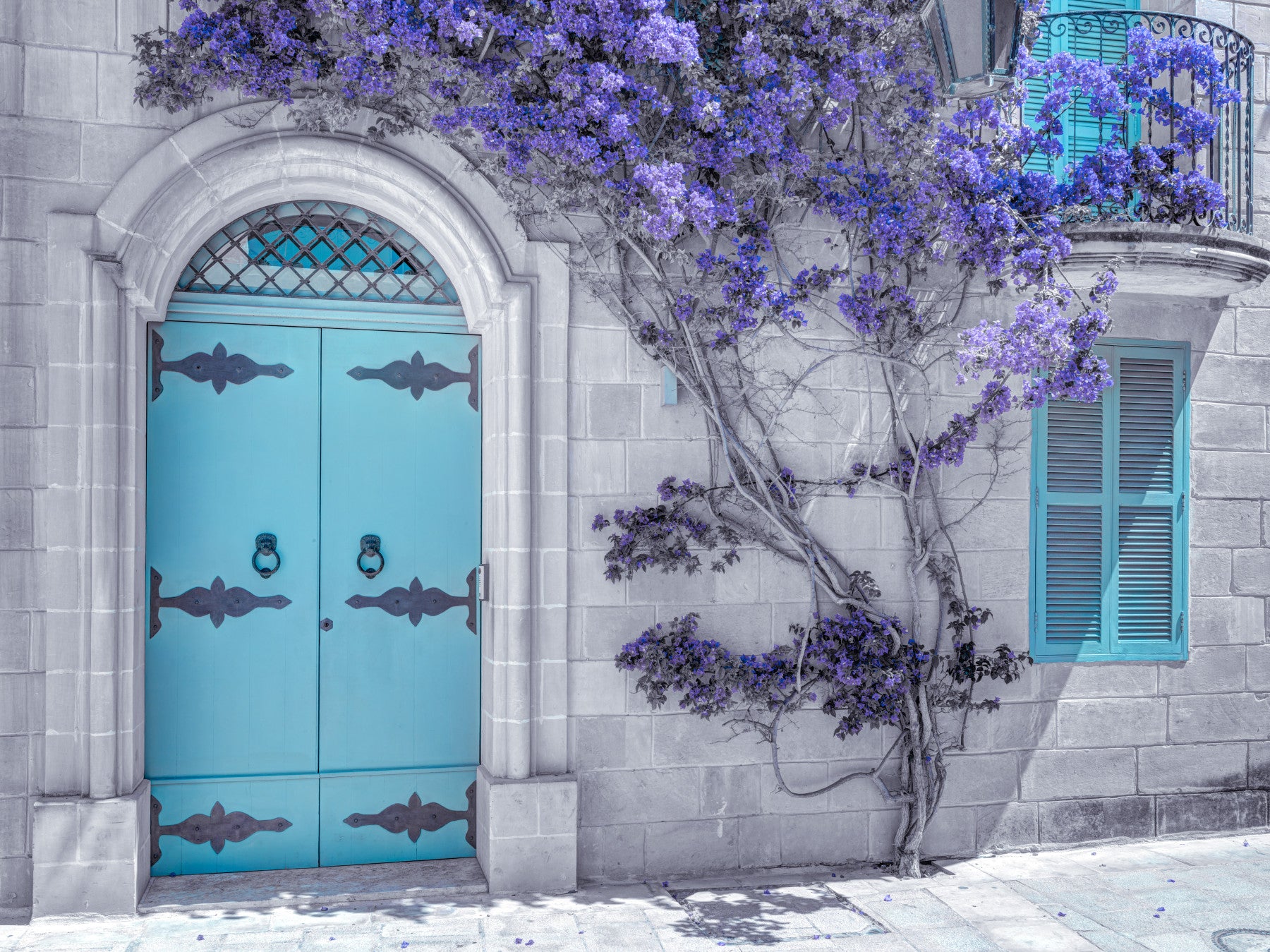 Maltese House Wall Mural