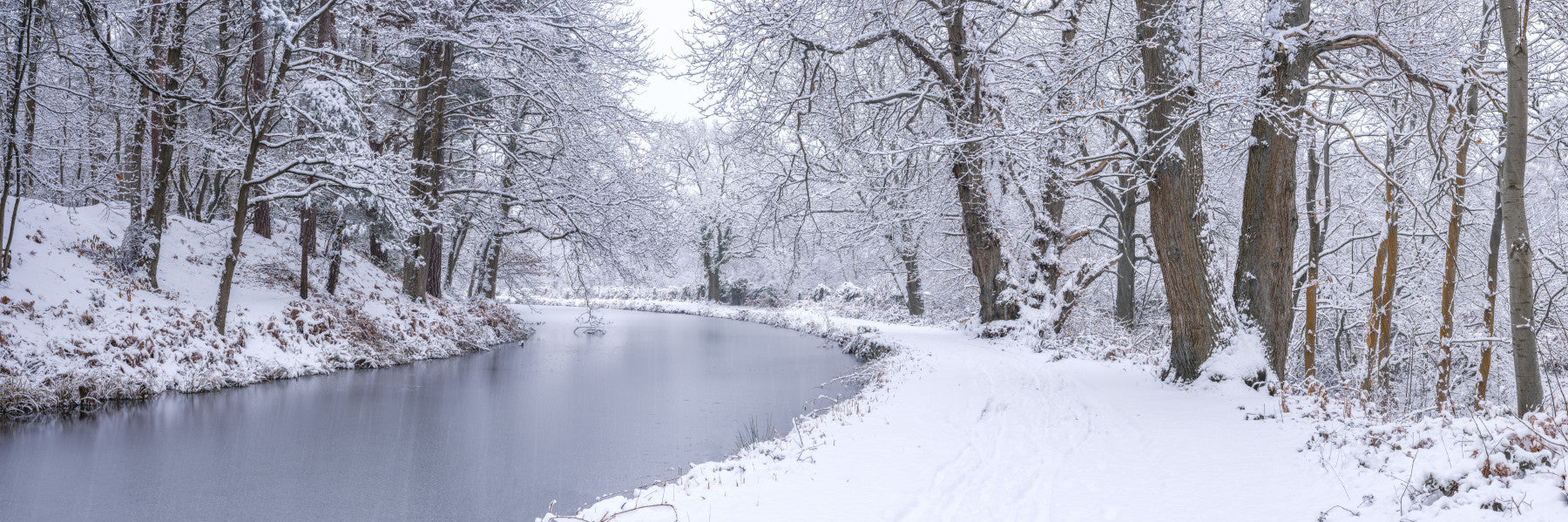 Snowy Canal Dream Wall Mural