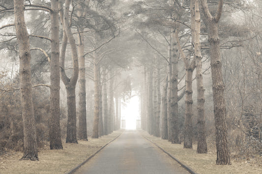 Ethereal Realm Wall Mural