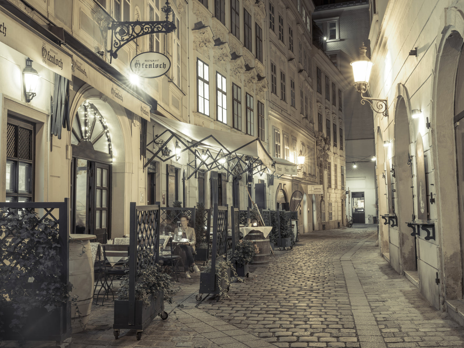 Viennese Delights Wall Mural