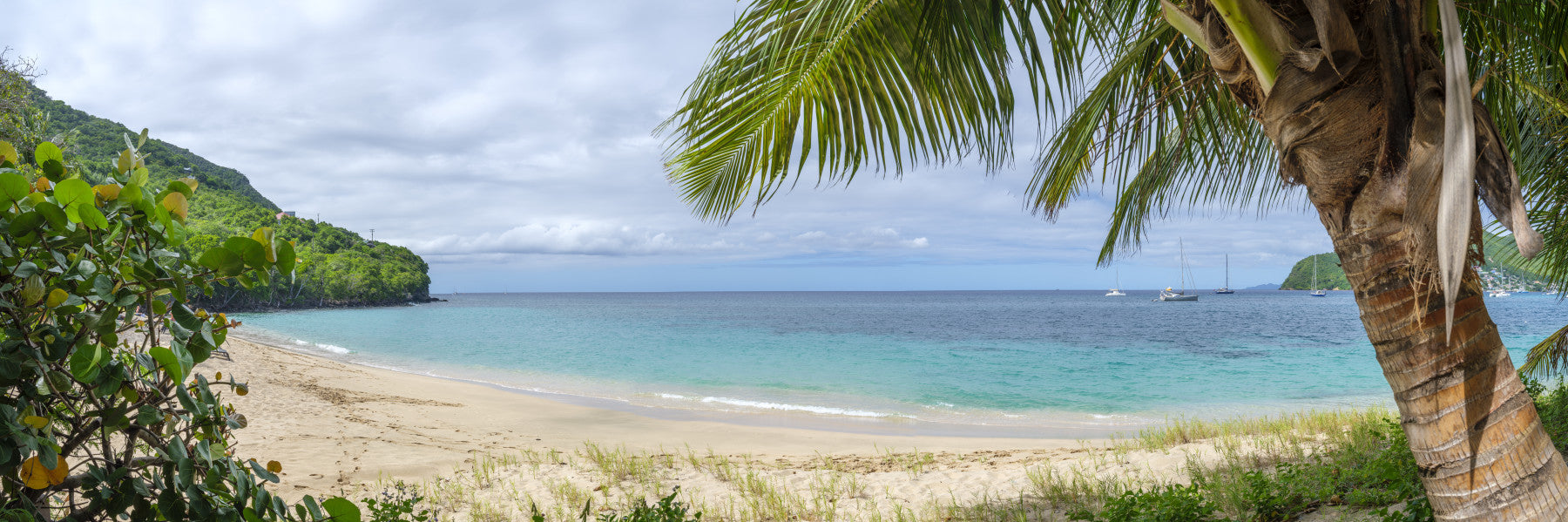 Emerald Waters Beach Wall Mural