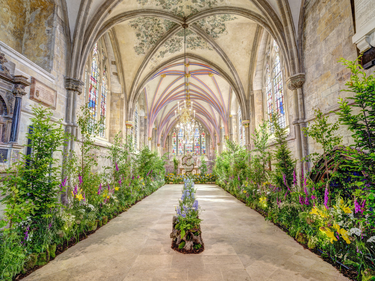 Chichester Cathedral Wall Mural in your room