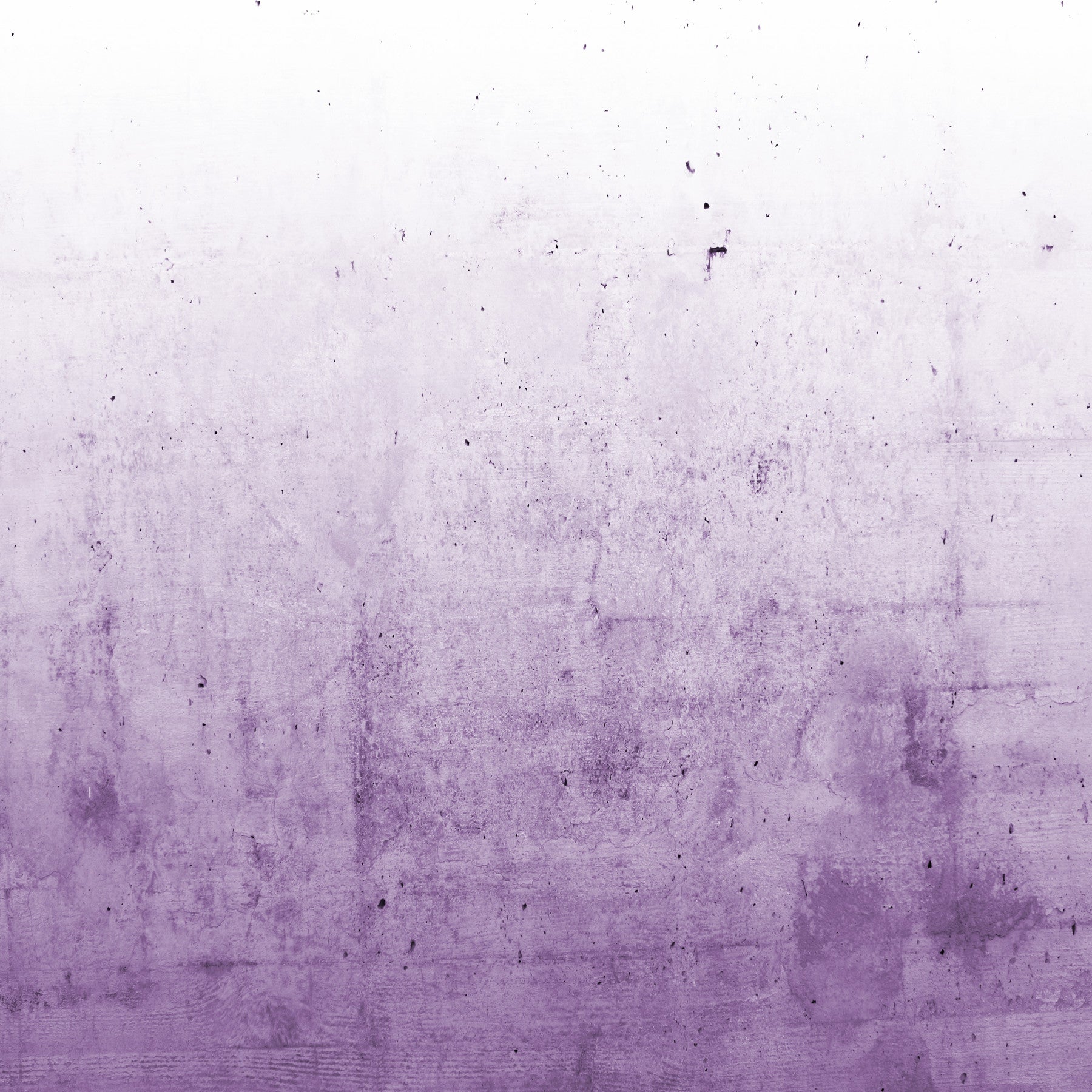 Radiant Orchid Ombre Concrete Wall Mural