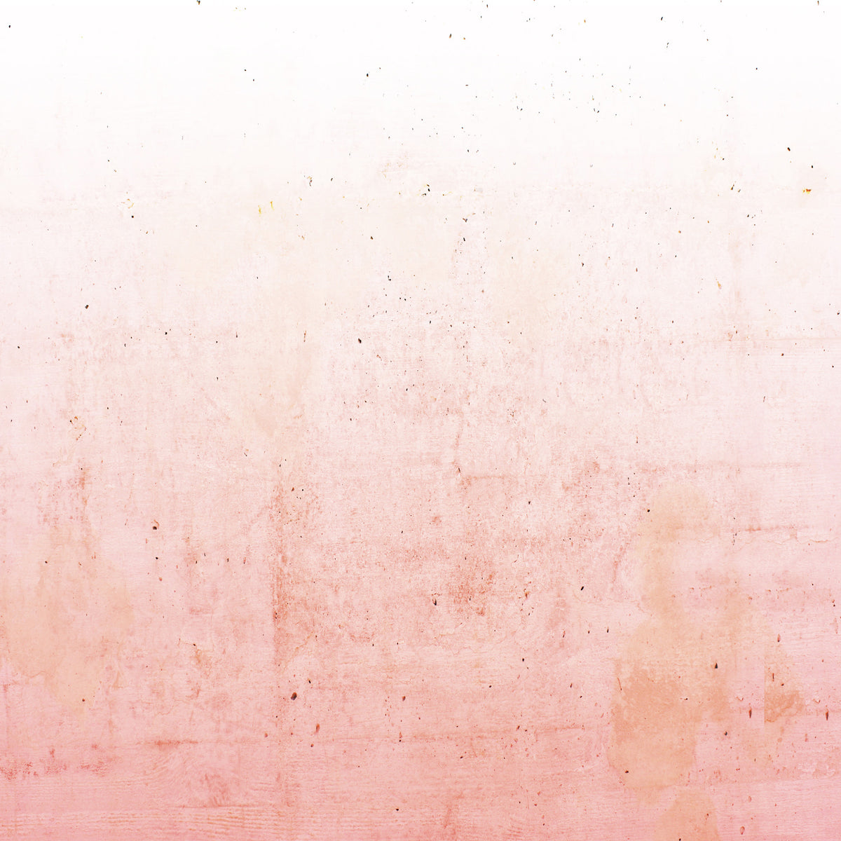 Pink Ombre on Concrete Wall Mural in your room