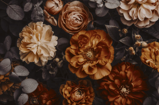 Rich Earthy Amber Autumn Blossoms Wall Mural