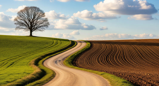 Country Path Wall Mural