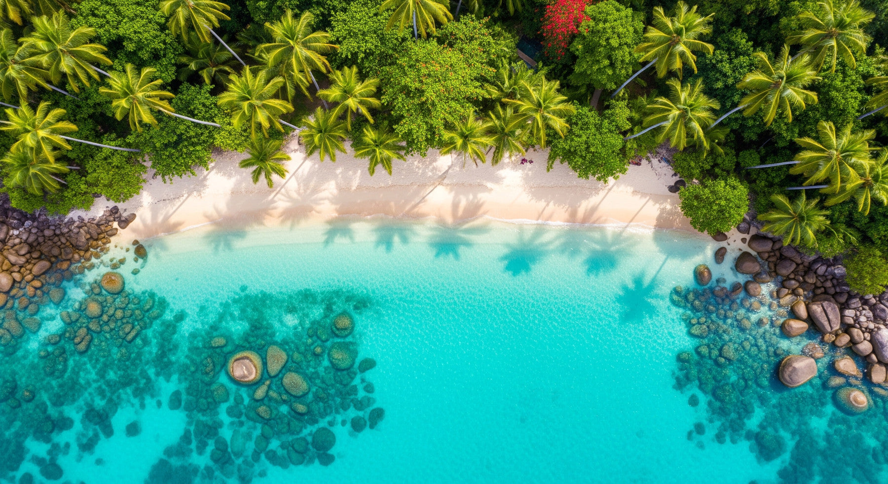 Tropical Dreams Wall Mural