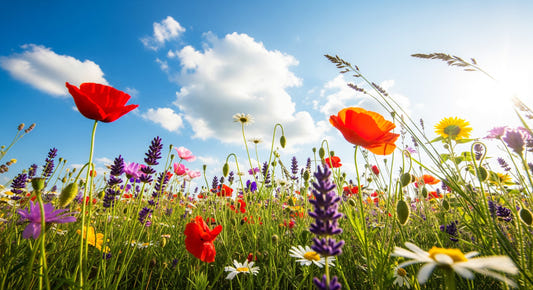 Meadow Dreams Wall Mural