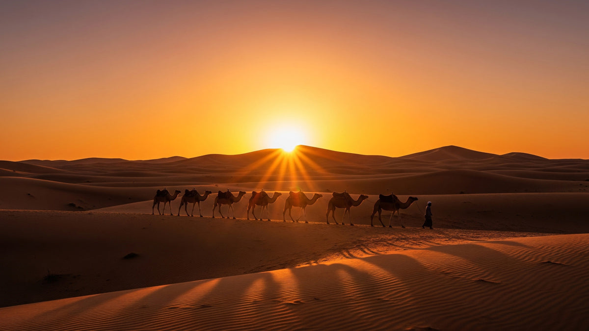 Desert Caravan Dawn Wall Mural in your room — zoomed