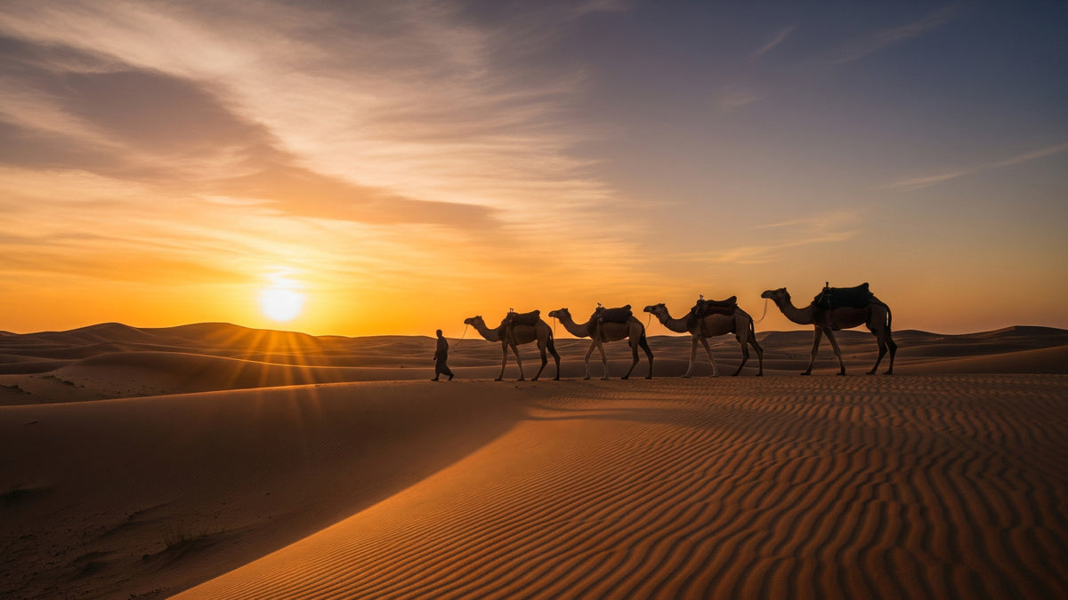 Desert Caravan Sunset Wall Mural in your room — zoomed
