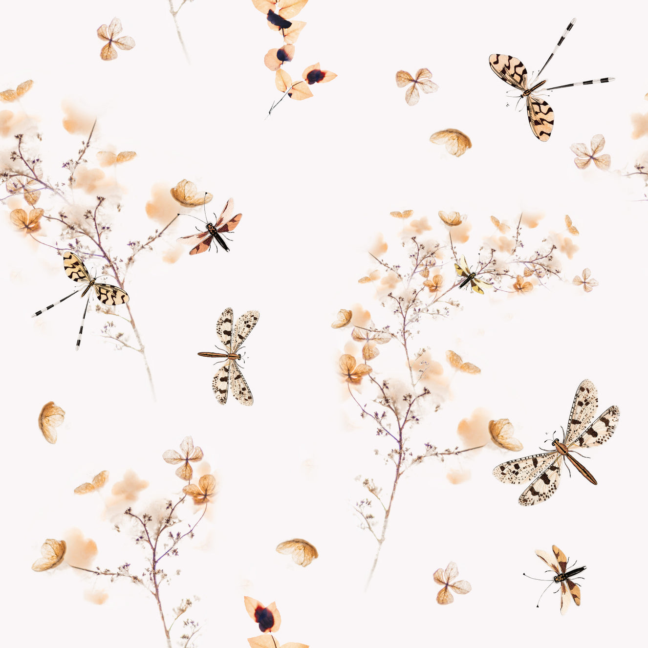 Dragonflies in Flowers Wallpaper⁠