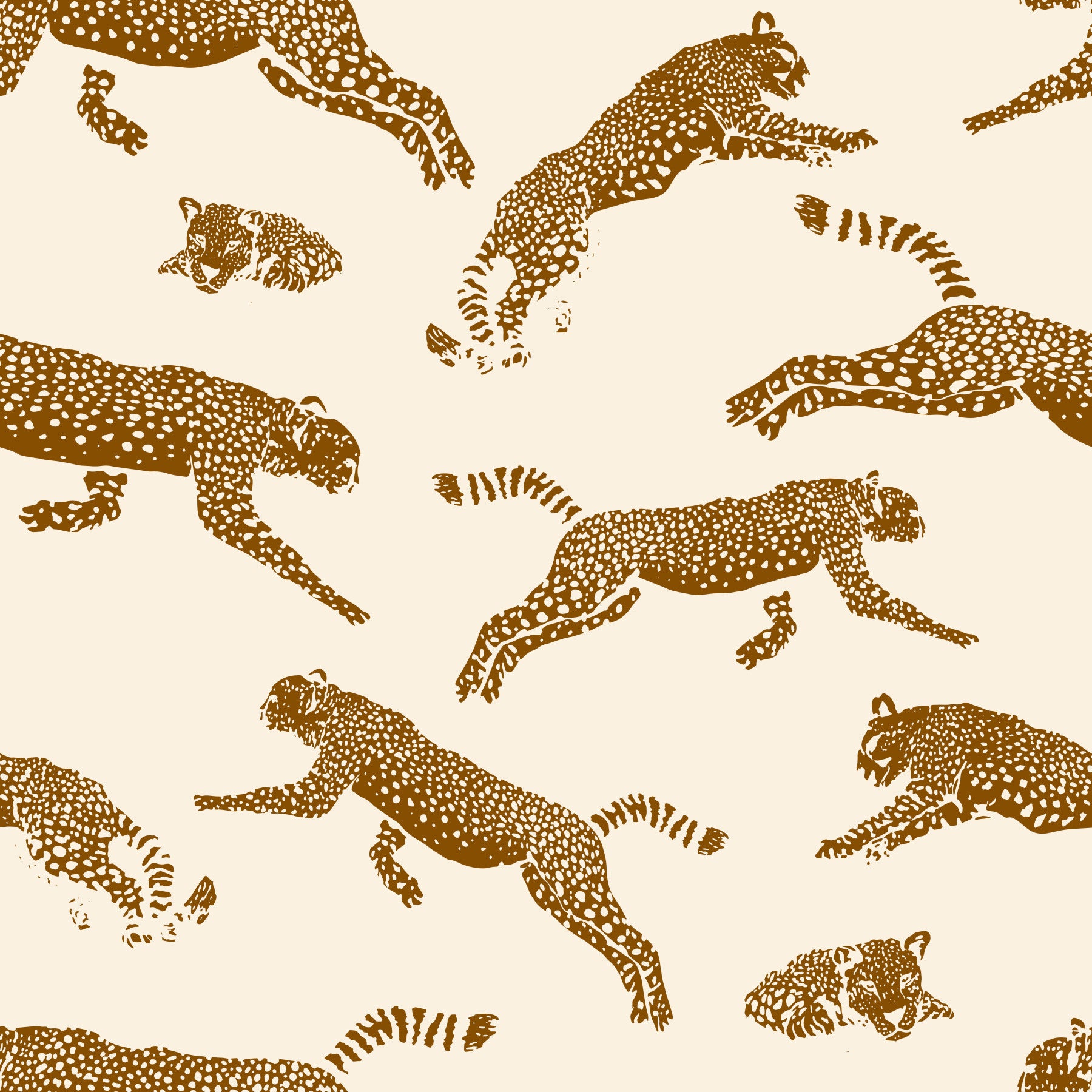 Leopards Wallpaper⁠