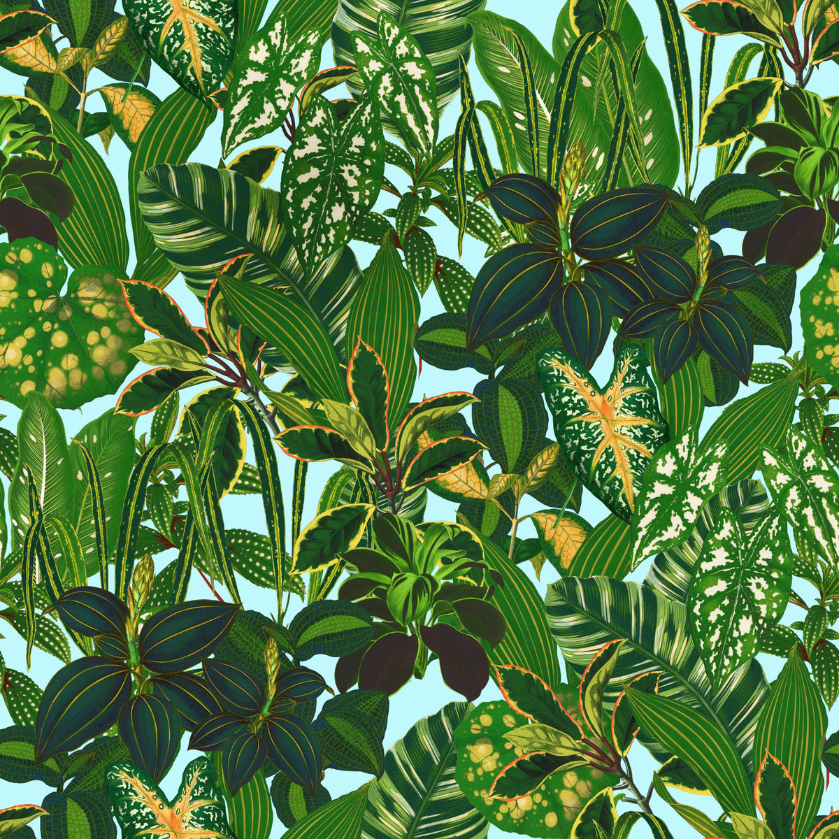 Green Tropical Plants Wallpaper⁠ in your room