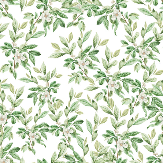 Spring Leaves  Wallpaper⁠