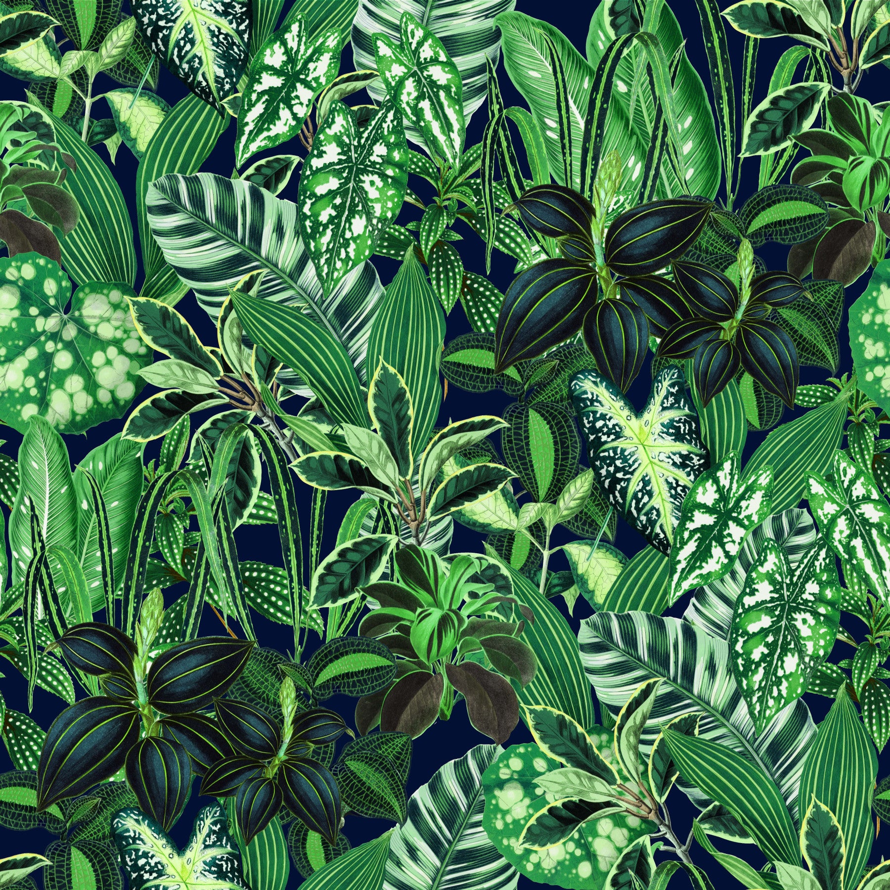 Intensely Green Tropics Wallpaper⁠