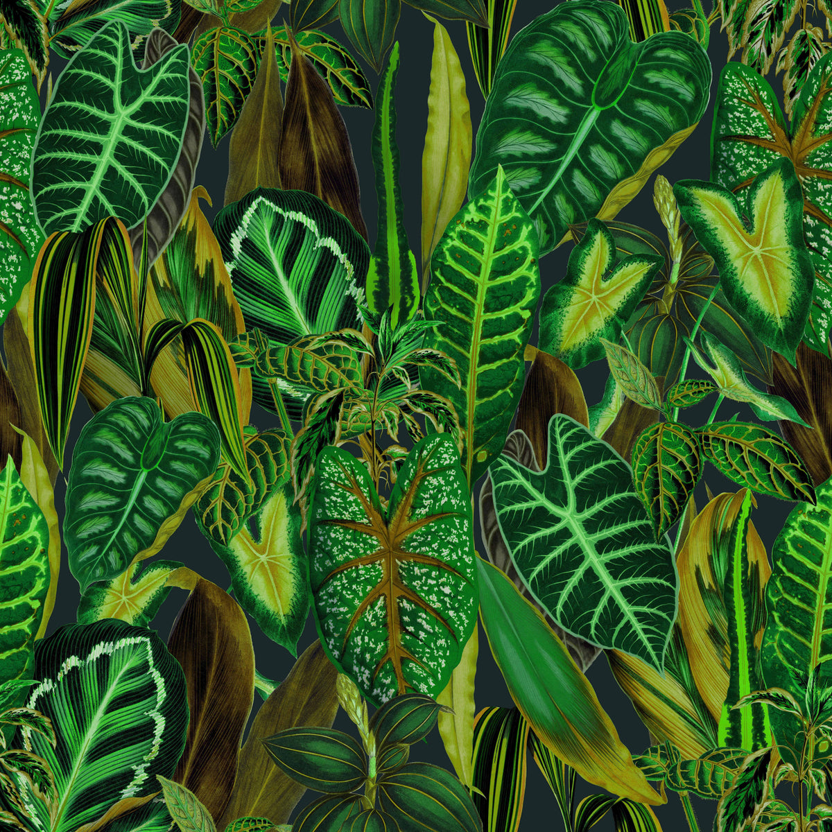 Papier peint feuillage exotique vert in your room — zoomed