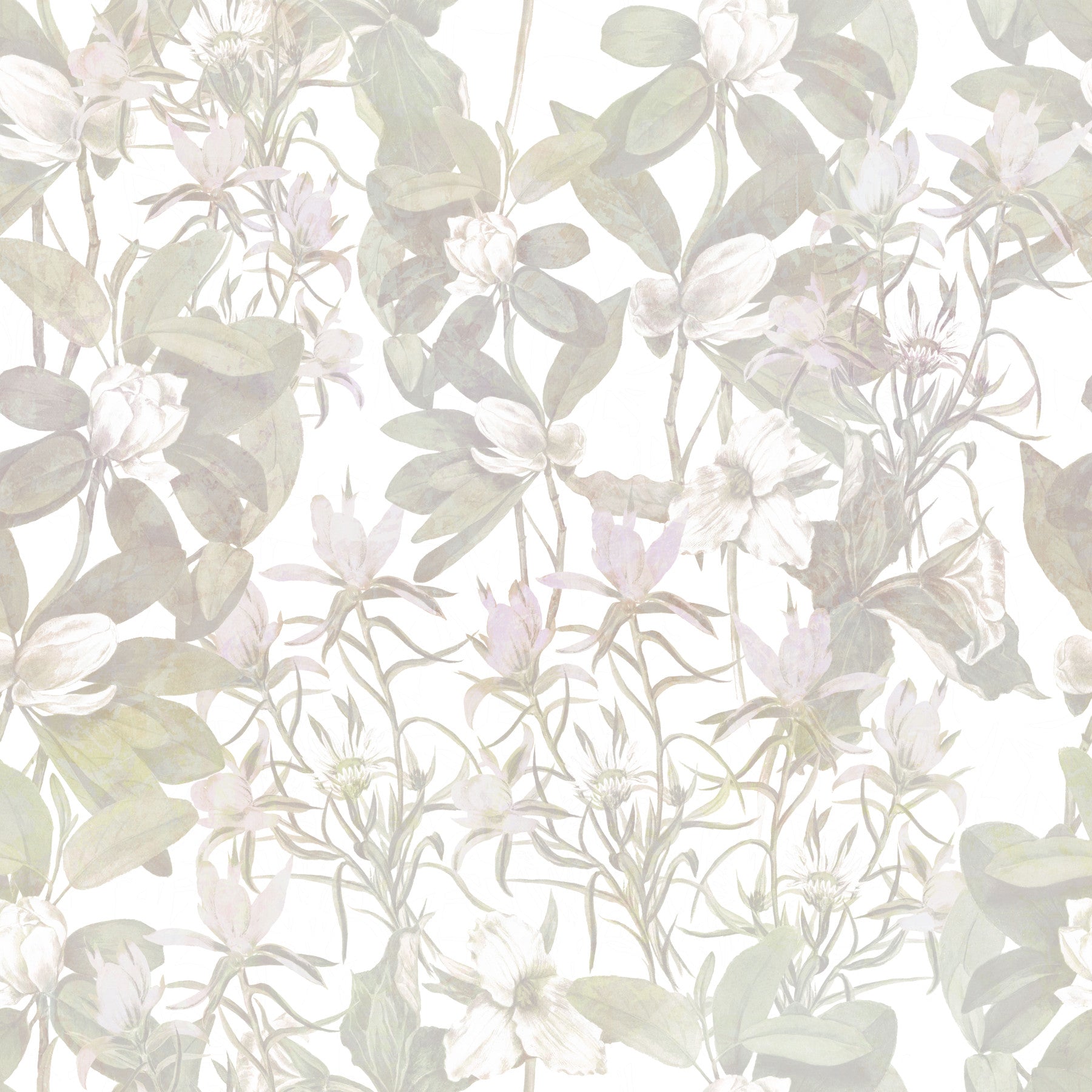 Papier peint botanique éthéré in your room — zoomed