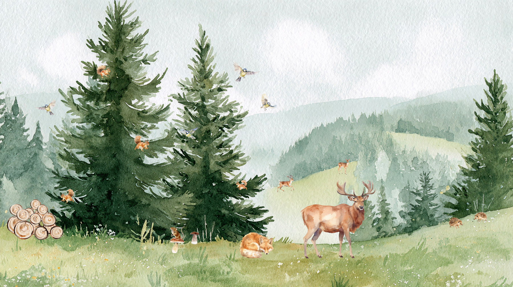 Woodland Friends Adventure  Wall Mural