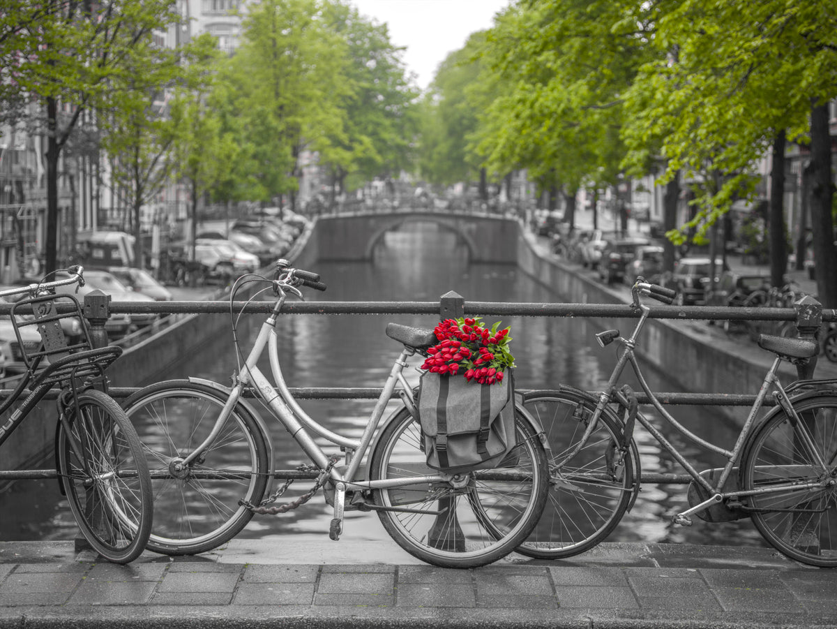 Quintessential Amsterdam Wall Mural in your room