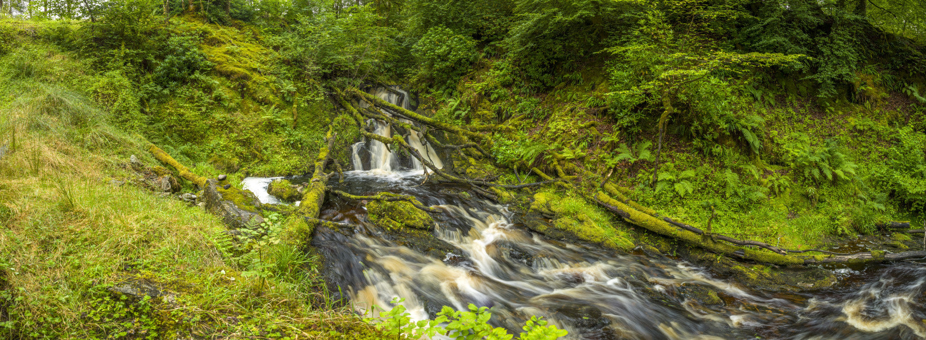 Mossy Falls Serenity Wall Mural