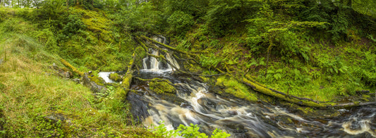 Mossy Falls Serenity Wall Mural