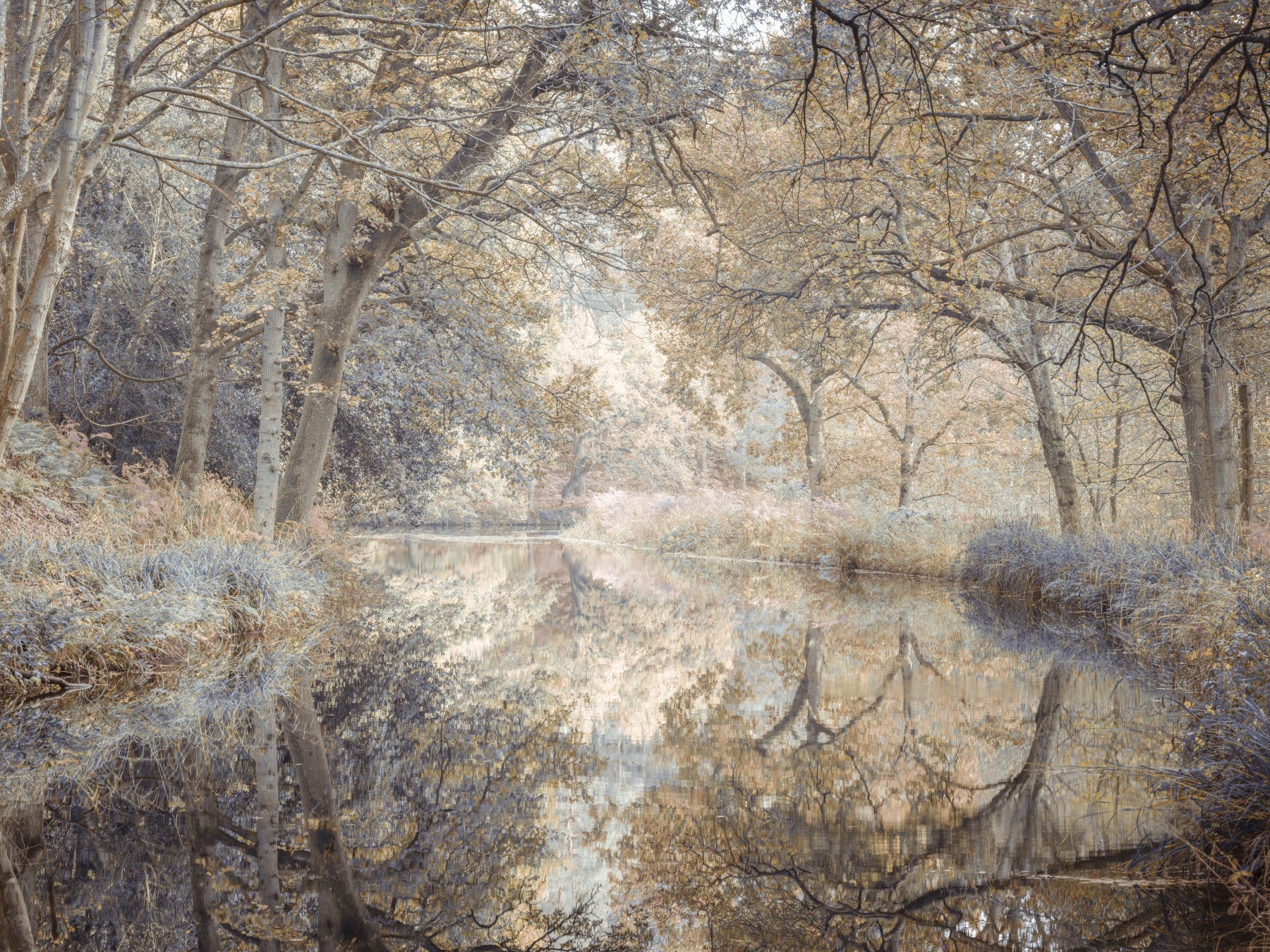 Fresque murale Eaux Murmurantes in your room — zoomed