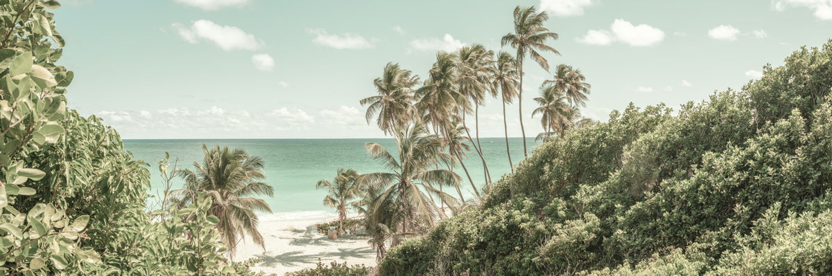 Oceanfront Serenity Wall Mural in your room