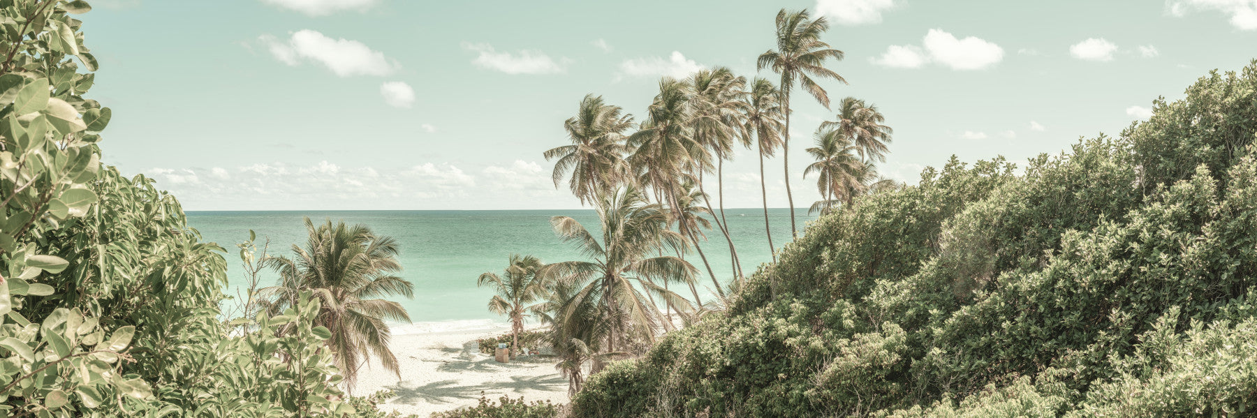 Oceanfront Serenity Wall Mural