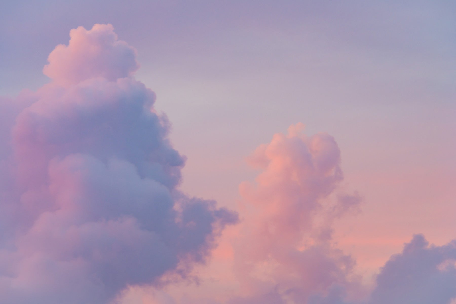 Pink Cloud Wall Mural in your room — zoomed