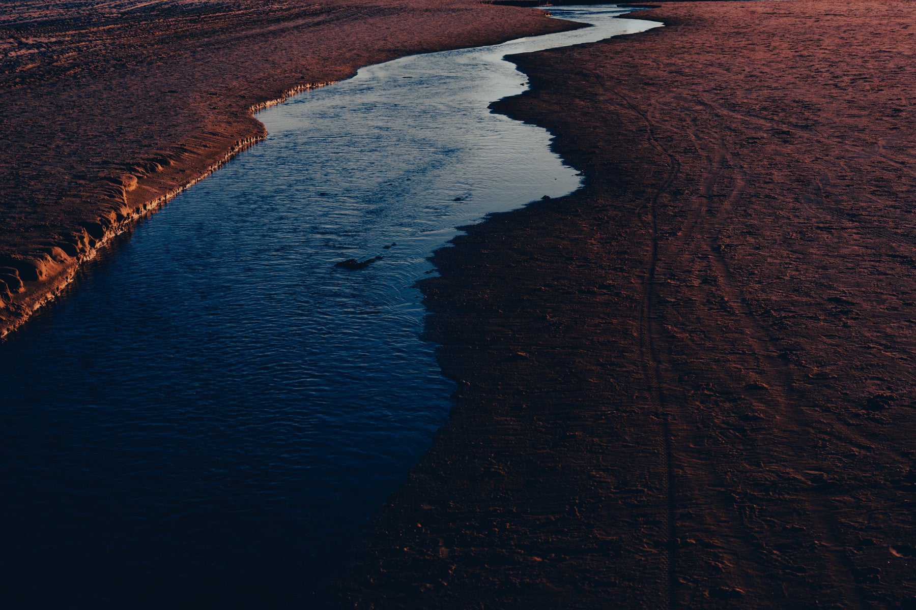 Dark River IV Wall Mural
