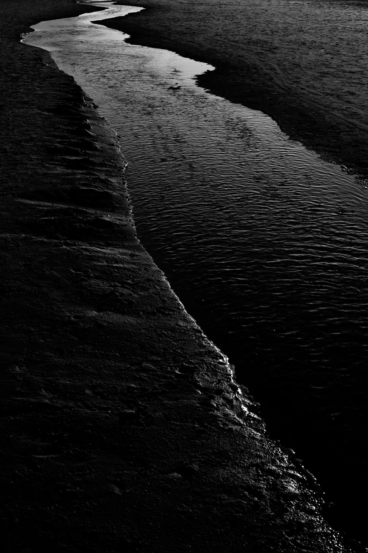 Dark River I Wall Mural in your room — zoomed