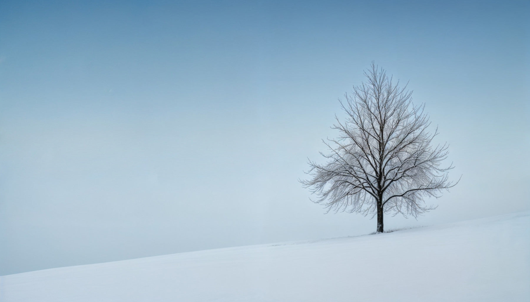 Frozen Simplicity Wall Mural