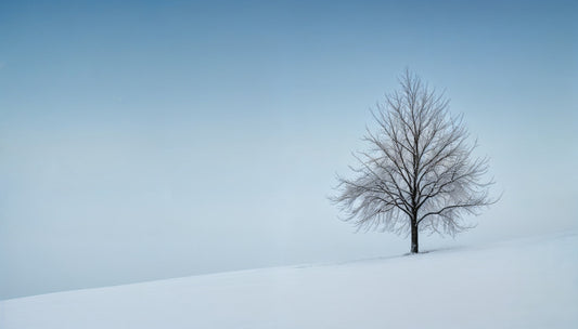 Frozen Simplicity Wall Mural