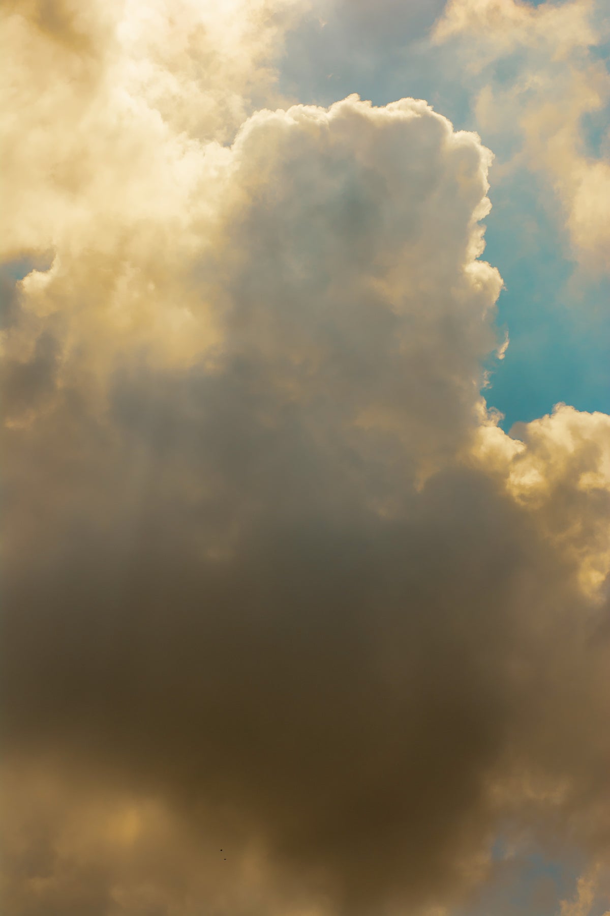 Clouds #4 Wall Mural in your room — zoomed