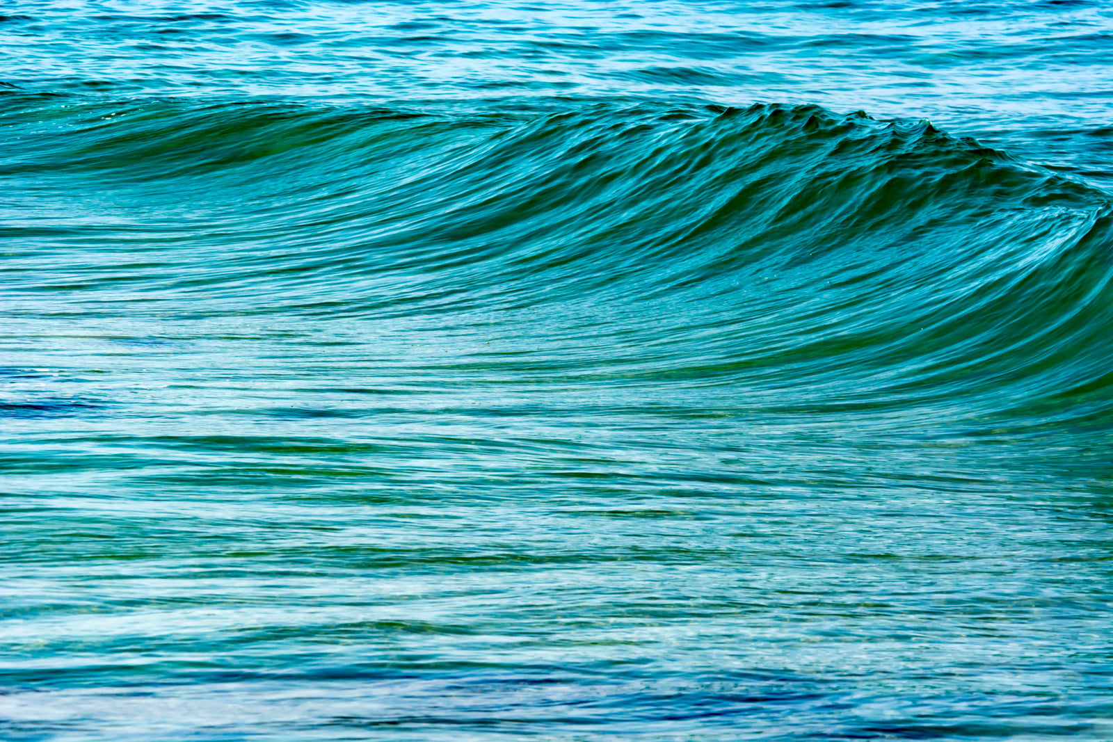 The Uniqueness of Waves XIV Wall Mural