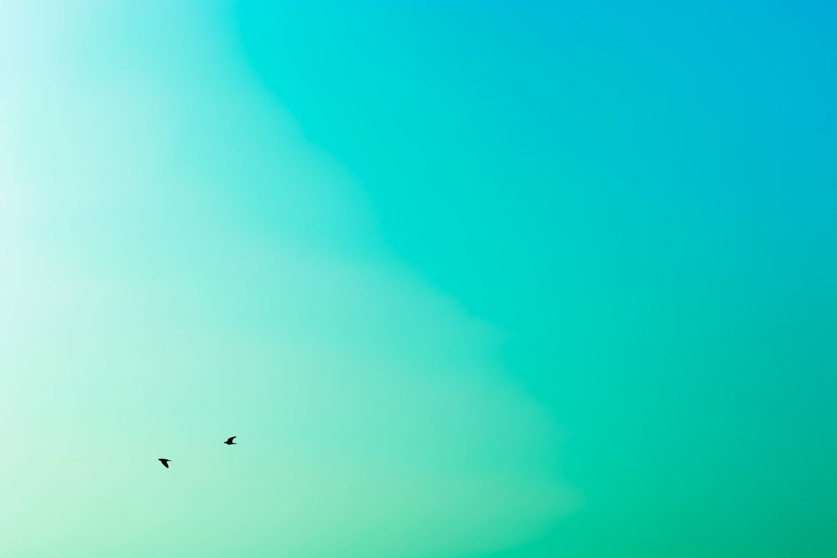 Up and Down Wall Mural in your room — zoomed