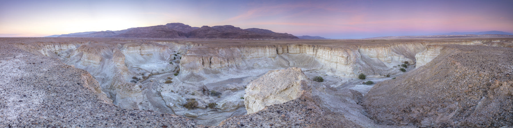 Desert Valley View Wall Mural