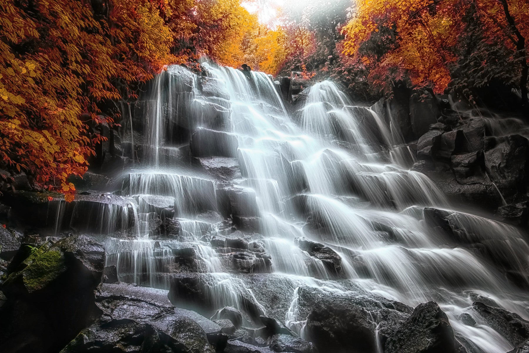 Fresque murale Cascade d'automne