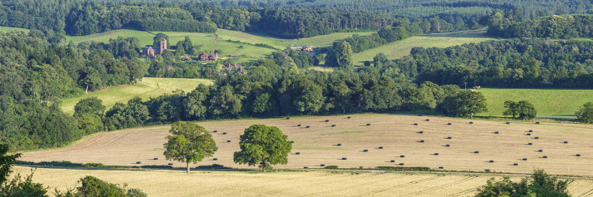 Rolling Hills Harmony Wall Mural in your room