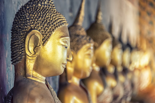 Buddha's Golden Gaze Wall Mural