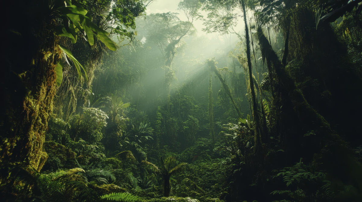 Cloud Forest Wall Mural in your room — zoomed