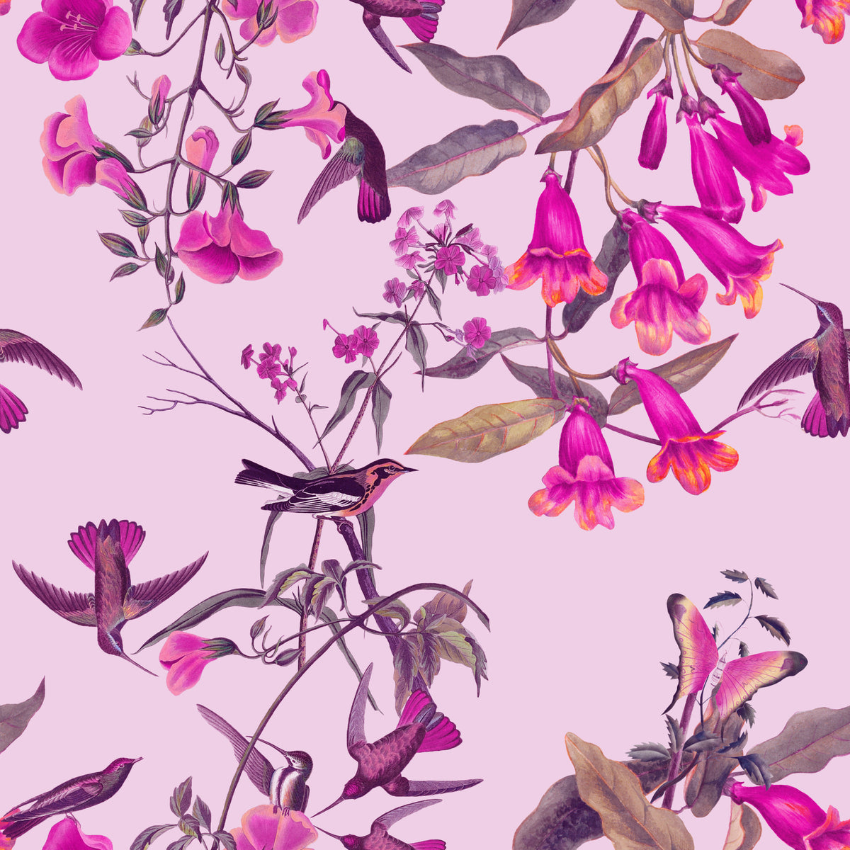 Papier peint volière jardin magenta in your room — zoomed