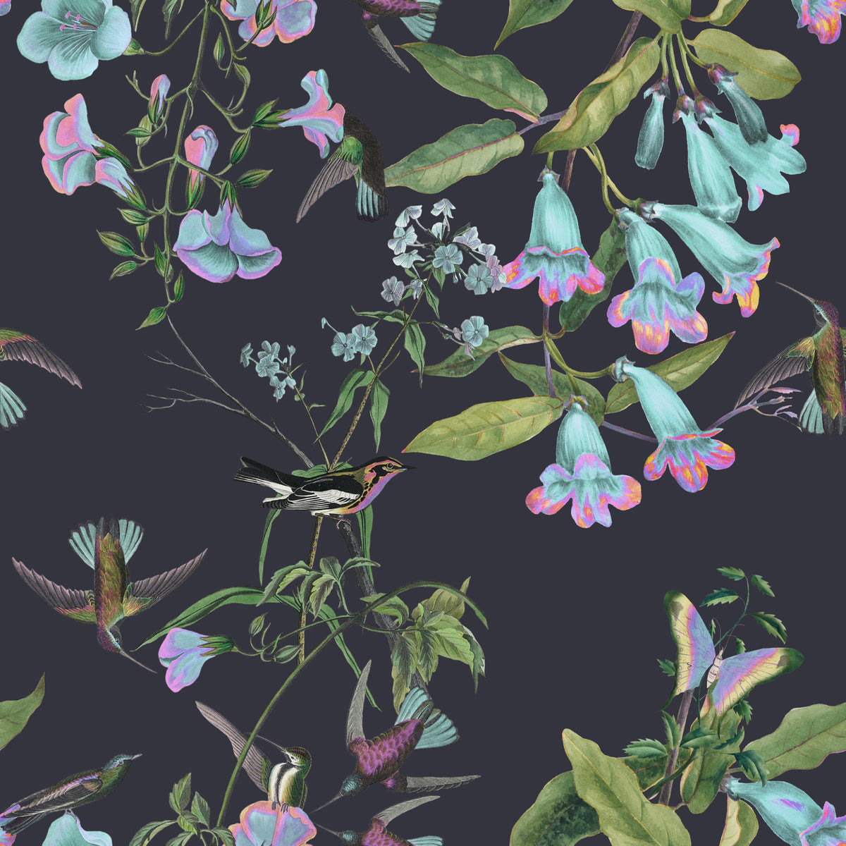 Hummingbird Haven Wallpaper‚Å† in your room