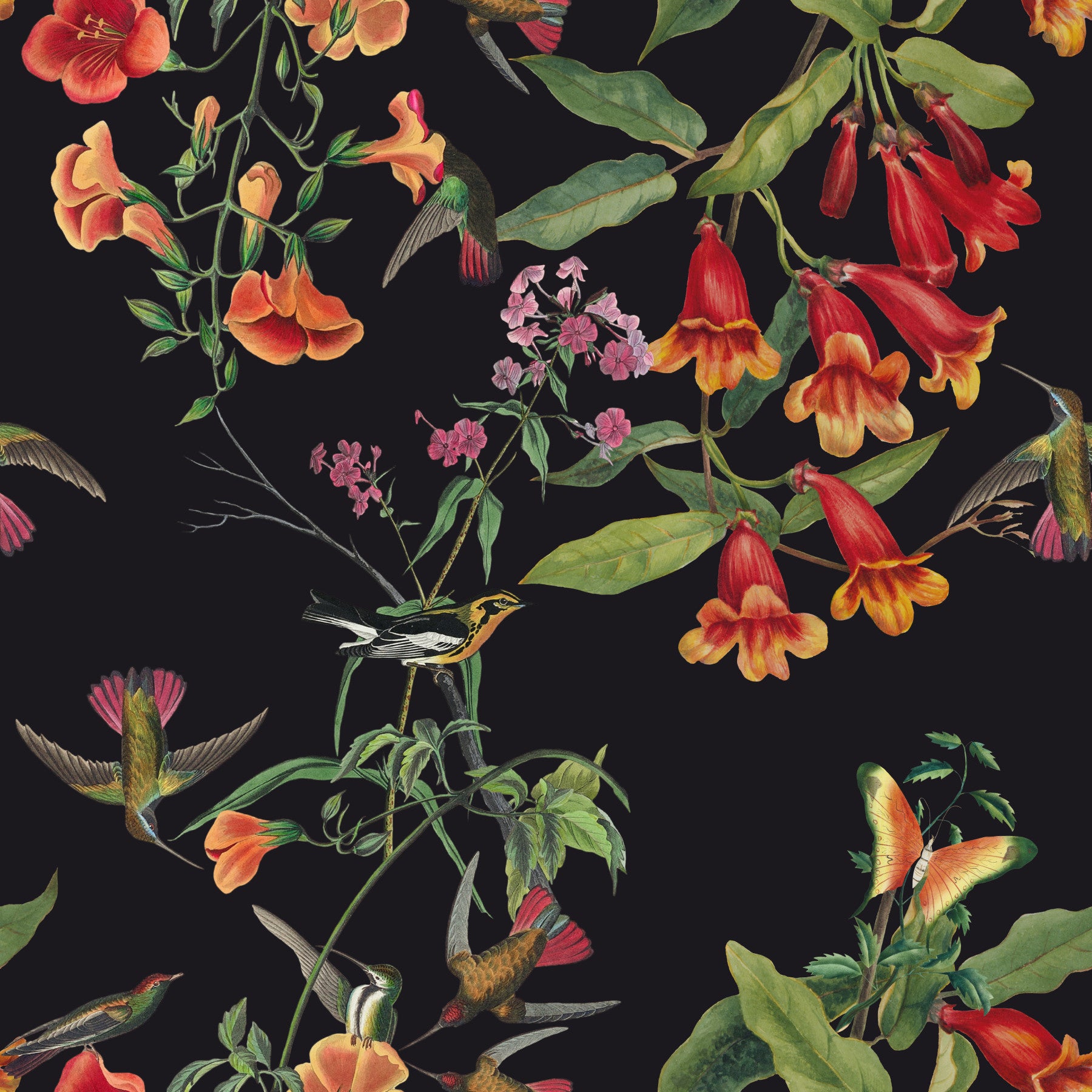 Floral Flight: Dark Elegance Wallpaper⁠